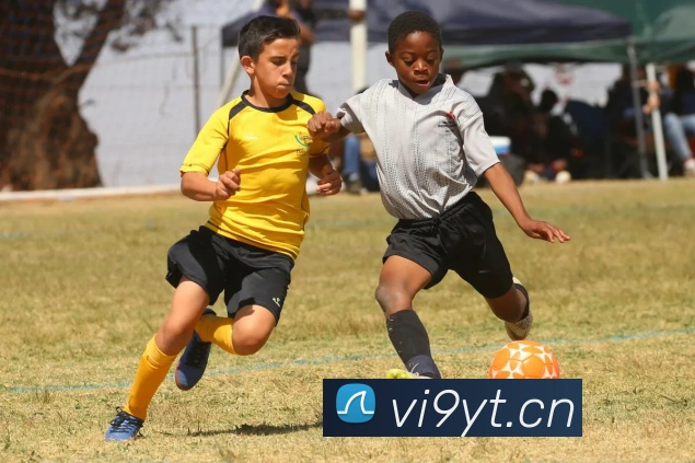 emc易倍全站网页版平台生态图