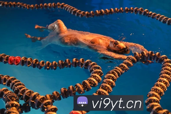 emc易倍全站网页版全站App